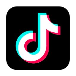 TikTok Icon